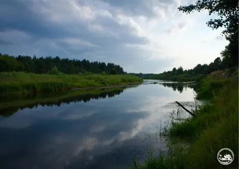 У Чорнобильському заповіднику виявили червонокнижних риб