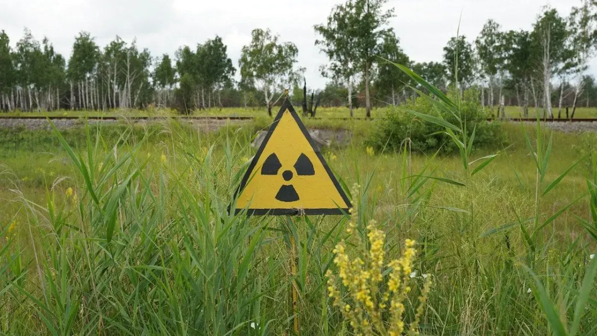 У Чорнобильській зоні виявили хижака, що з'їдає за добу більше власної ваги