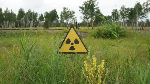 У Чорнобильській зоні виявили хижака, що з'їдає за добу більше власної ваги