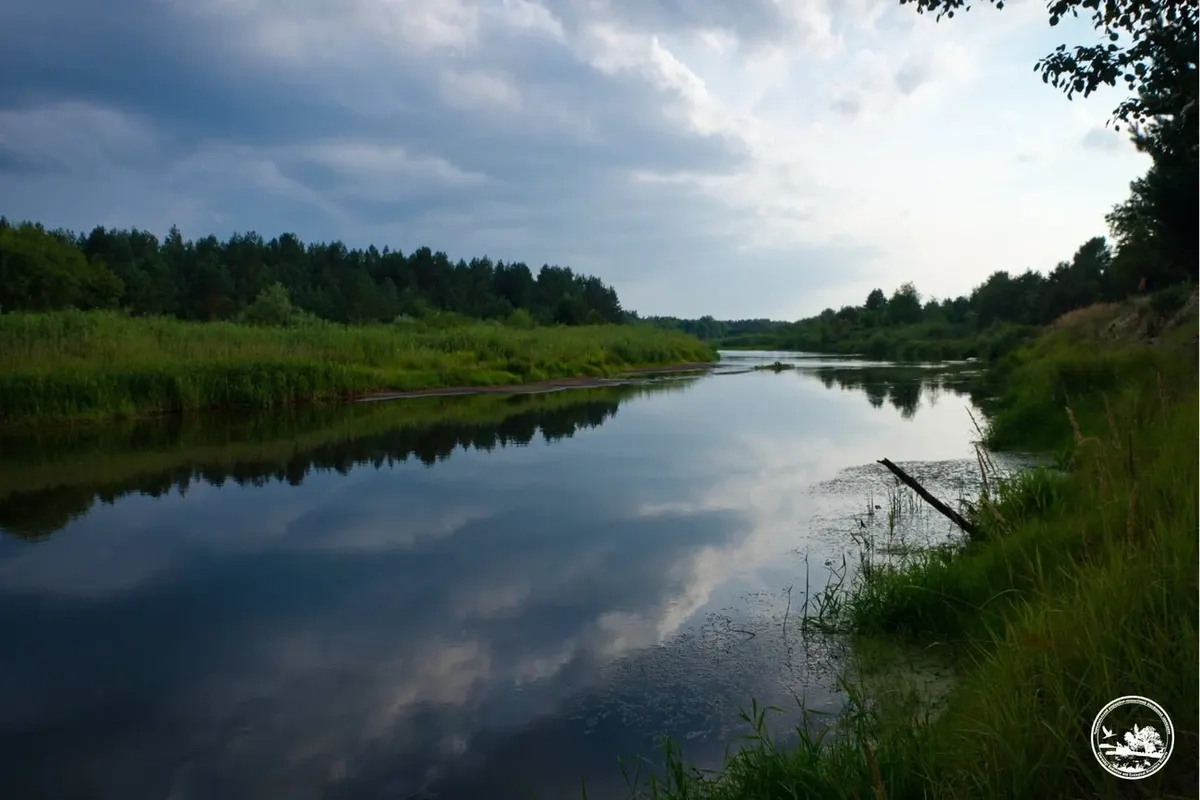 У Чорнобильській зоні виявили рідкісних червонокнижних риб