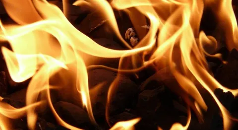 Пожежа сталася за 2 км від окупованої Запорізької АЕС — ДІЯРУ